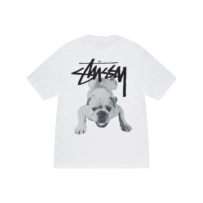  Stussy SS25 Stock Собака Tee