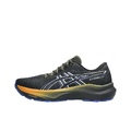 ASICS GT 2000 14 FF