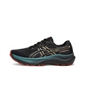 Asics GT 2000 14 Low